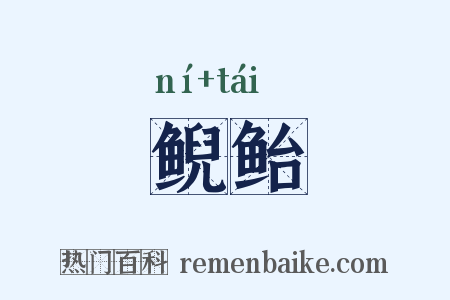 鲵鲐是什么意思的图片